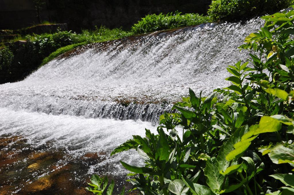 A Look Into The River Apartment Avo ภายนอก รูปภาพ